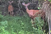 Land for sale in Harford County, Maryland