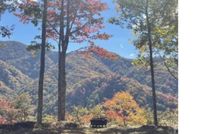 Homesite for sale in Jackson County, North Carolina