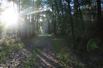 Land for sale in Chester County, Tennessee