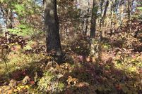 Undeveloped Land for sale in Lake County, Michigan