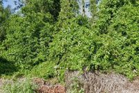 Land for sale in Highlands County, Florida