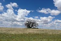 Land for sale in Scurry County, Texas