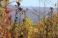 Land for sale in Carter County, Tennessee