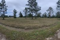 Land for sale in Beauregard Parish, Louisiana