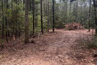 Land for sale in Tangipahoa Parish, Louisiana