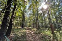 Land for sale in Wayne County, Mississippi