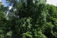 Land for sale in Shelby County, Tennessee