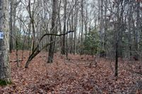 Farm and Ranch for sale in Moore County, North Carolina