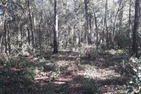 Undeveloped Land for sale in Citrus County, Florida