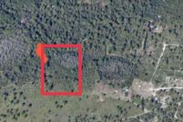 Land for sale in Osceola County, Florida