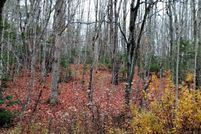 Land for sale in Lamoille County, Vermont