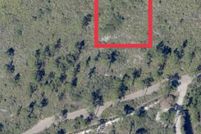 Land for sale in Osceola County, Florida