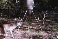 Land for sale in Palo Pinto County, Texas