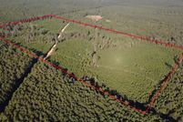 Undeveloped Land for sale in Winn Parish, Louisiana