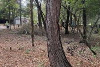 Land for sale in Tyler County, Texas