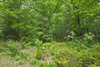 Land for sale in Presque Isle County, Michigan