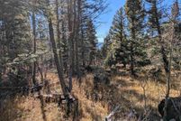 Land for sale in Colfax County, New Mexico