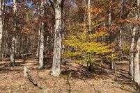 Undeveloped Land for sale in Tucker County, West Virginia