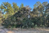Land for sale in Levy County, Florida