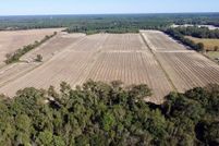 Land for sale in Greene County, North Carolina