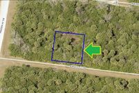 Undeveloped Land for sale in Brevard County, Florida