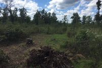 Undeveloped Land for sale in Ozark County, Missouri