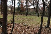 Undeveloped Land for sale in Frederick County, Virginia