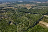 Land for sale in Washington County, Alabama