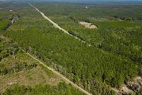 Land for sale in Washington County, Alabama