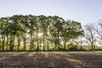 Undeveloped Land for sale in Monroe County, Alabama