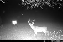 Undeveloped Land for sale in Hughes County, Oklahoma