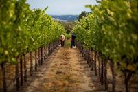 Undeveloped Land for sale in El Dorado County, California