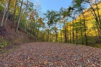 Timberland Property for sale in Swain County, North Carolina