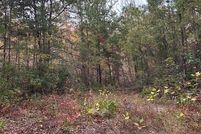 Undeveloped Land for sale in Jackson County, North Carolina