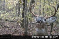 Land for sale in Searcy County, Arkansas