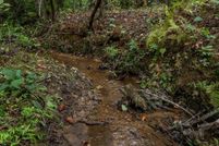 Land for sale in Dawson County, Georgia