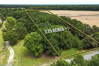 Undeveloped Land for sale in Duplin County, North Carolina