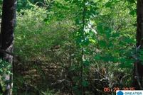 Land for sale in Perry County, Alabama