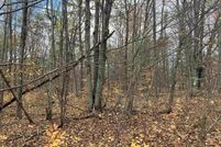 Land for sale in Kalkaska County, Michigan