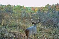 Land for sale in Person County, North Carolina