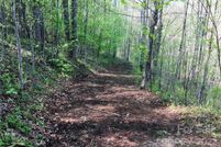 Undeveloped Land for sale in Madison County, North Carolina