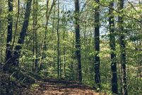 Land for sale in Madison County, North Carolina