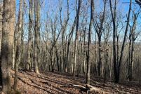 Land for sale in Talbot County, Georgia