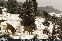 Land for sale in Silver Bow County, Montana