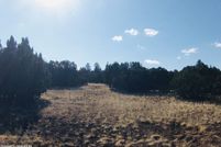 Land for sale in Apache County, Arizona