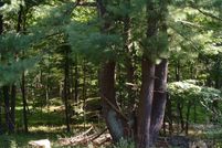 Undeveloped Land for sale in Columbia County, New York