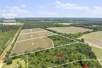 Undeveloped Land for sale in Walton County, Florida