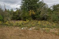 Undeveloped Land for sale in Washington County, Florida