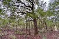 Farm and Ranch for sale in Washington County, Florida