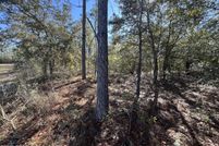 Homesite for sale in Washington County, Florida